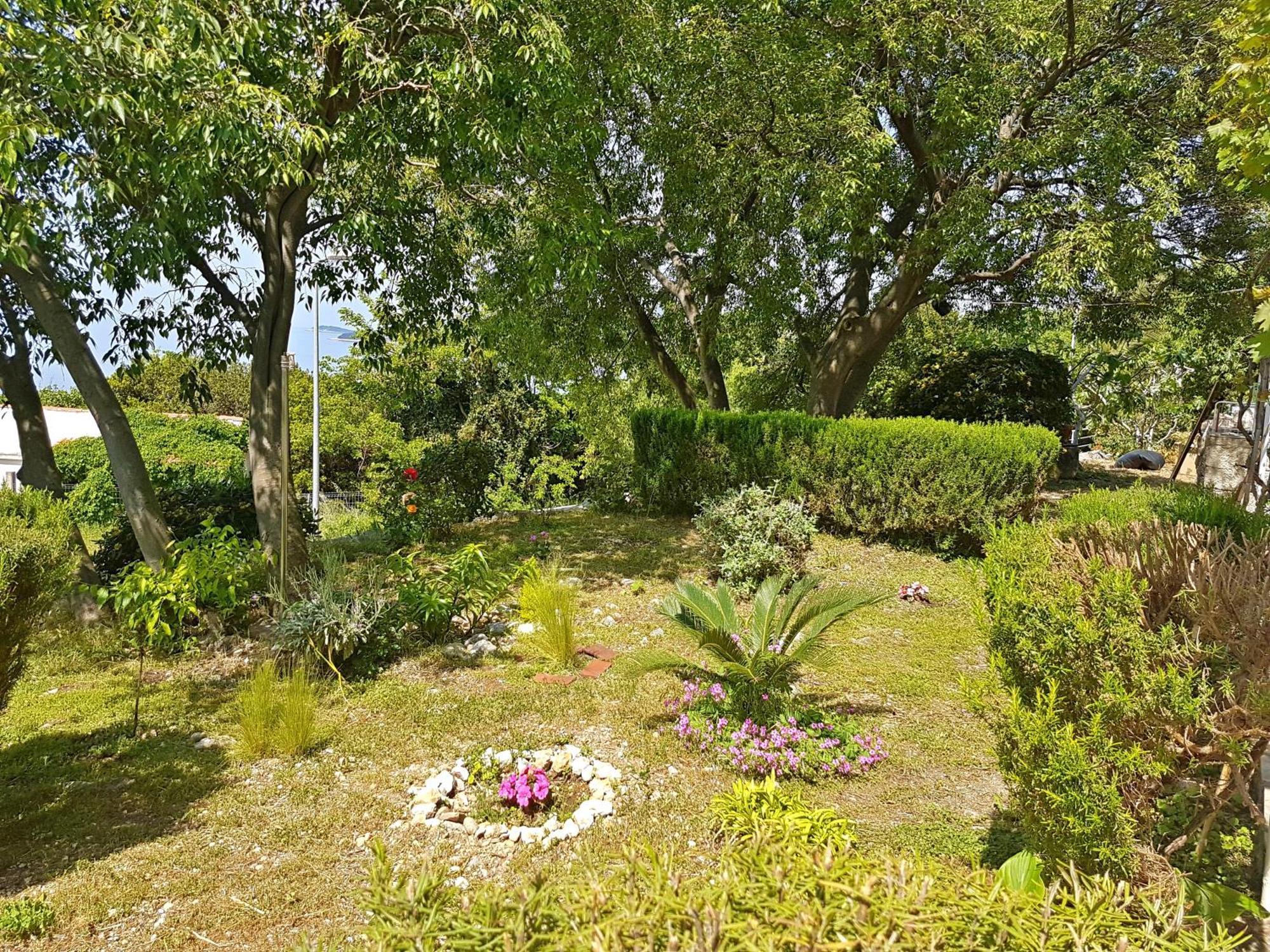 Apartments Dalmatia Blue Mlini Room photo