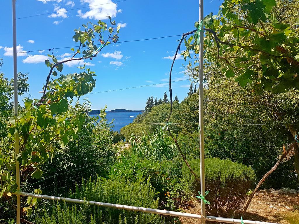 Apartments Dalmatia Blue Mlini Exterior photo